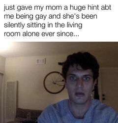Guy Staring into Webcam meme #1