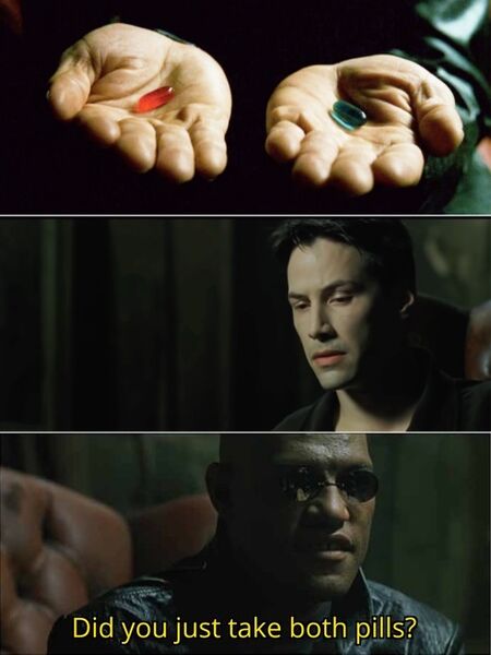 File:Did you just take both pills?.jpg
