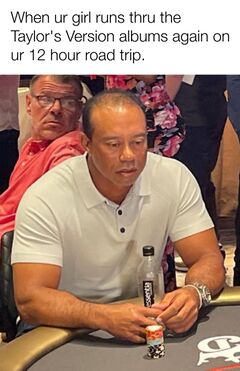 Tiger Woods Playing Poker meme #2