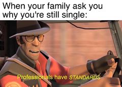 Professionals Have Standards meme #1
