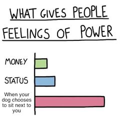 What Gives People Feelings of Power meme #3