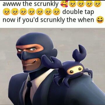 Awww the scrunkly Meming Wiki