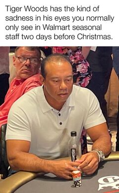 Tiger Woods Playing Poker meme #3