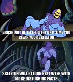 Skeletor Facts meme #4