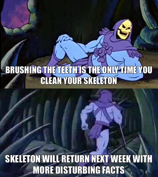 File:Skeletor Facts meme 4.jpg