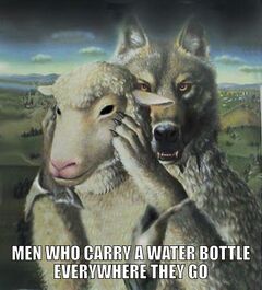 Wolf Wearing Sheep's Clothing meme #3