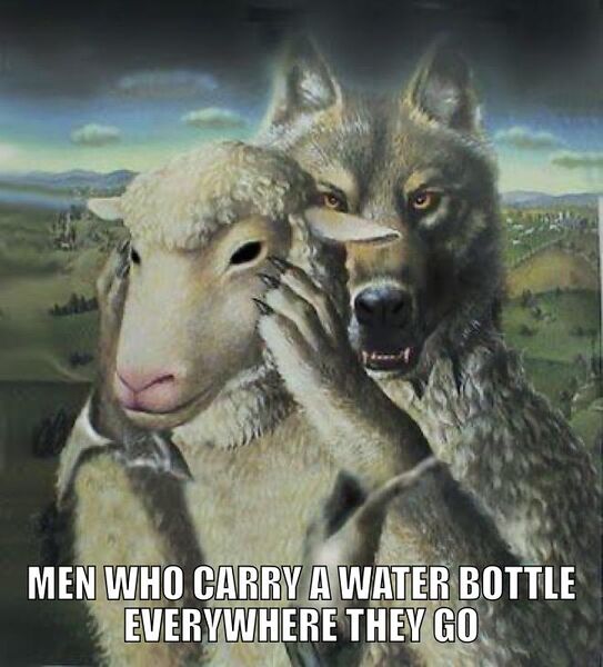 File:Wolf Wearing Sheep's Clothing meme 3.jpg