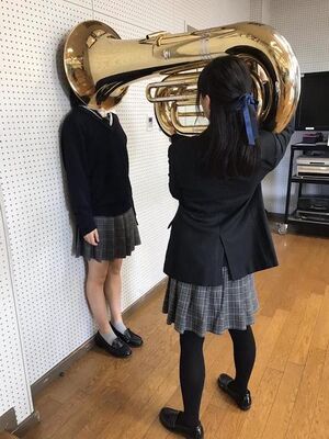 Girl Putting Tuba On Girl's Head: blank meme template