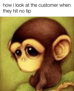 Sad Baby Monkey meme #3