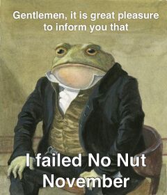 Colonel Toad meme #2