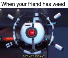 Give Me the Plant meme #4