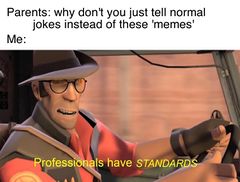 Professionals Have Standards meme #3