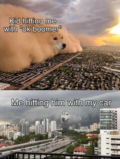 Dust Storm Dog meme #3