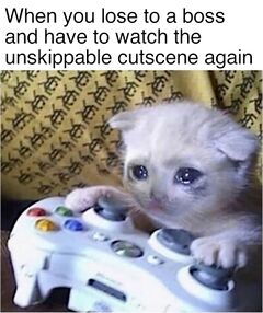 Sad Gaming Cat meme #2
