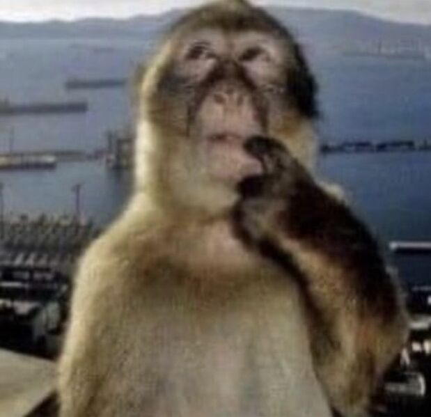 File:Thinking Monkey.jpg