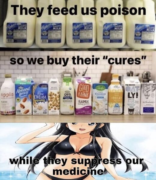 File:They Feed Us Poison meme 1.jpg
