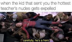 Carefully He's a Hero meme #3