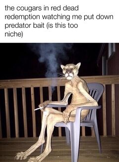 Cigar Cougar meme #2