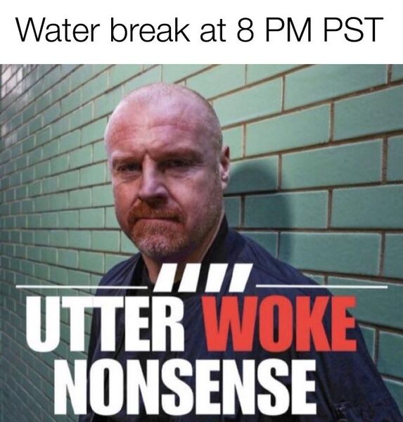 File:Sean Dyche Utter Woke Nonsense meme 4.jpg