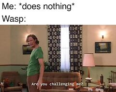 Are you challenging me? meme #3