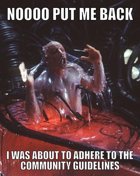 File:Noooo, Put Me Back meme 2.jpg
