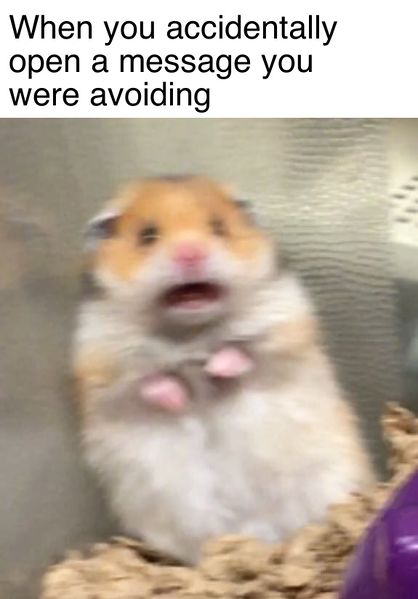 File:Scared Hamster meme 4.jpg