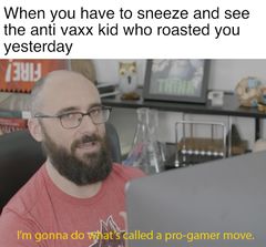 I'm Gonna Do What's Called a Pro Gamer Move meme #2