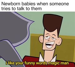 I Like Your Funny Words, Magic Man meme #4