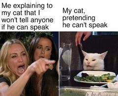 Woman Pointing At Cat meme #2