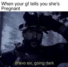 Bravo Six, Going Dark meme #4