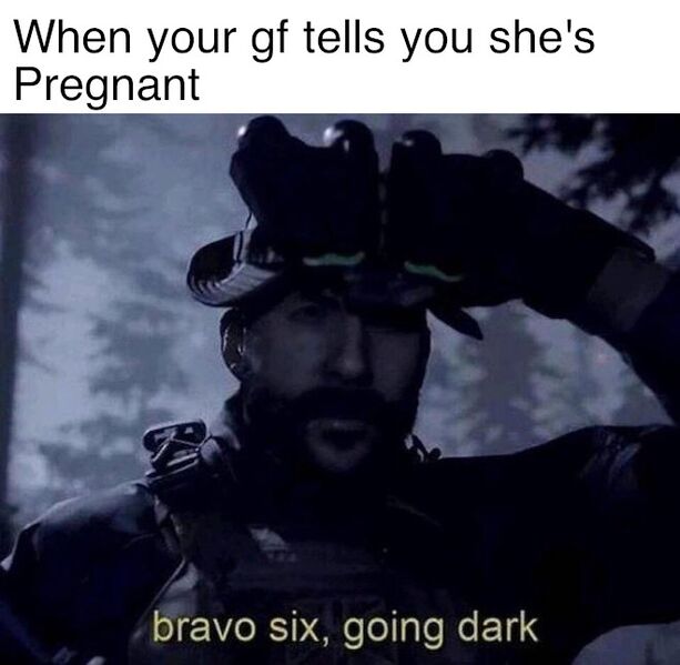 File:Bravo Six, Going Dark meme 4.jpg