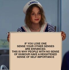 Robin from Stranger Things Holding a Whiteboard meme #1