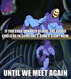 Skeletor Facts meme #3