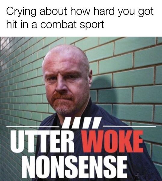 File:Sean Dyche Utter Woke Nonsense meme 3.jpg