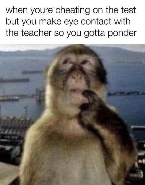 File:Thinking Monkey meme 3.jpg