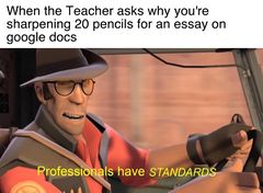 Professionals Have Standards meme #4