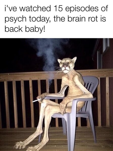 File:Cigar Cougar meme 1.jpg