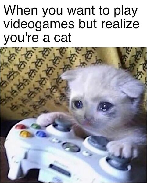 File:Sad Gaming Cat meme 3.jpg