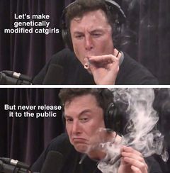 Elon Musk Smoking Weed meme #3