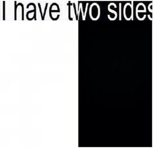 I Have Two Sides