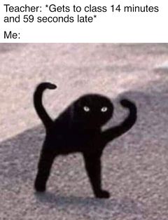 Cursed Cat - Meming Wiki