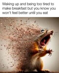 Disintegrating Squirrel meme #1