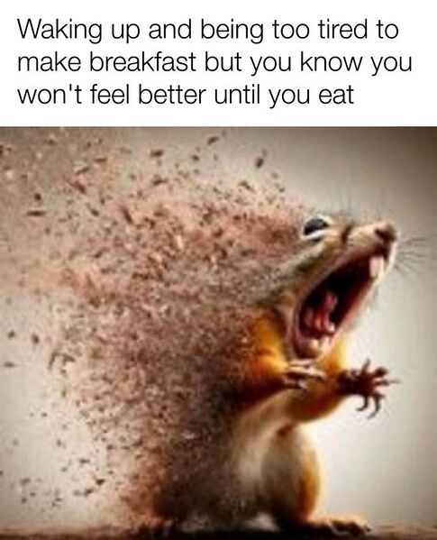 File:Disintegrating Squirrel meme 1.jpg
