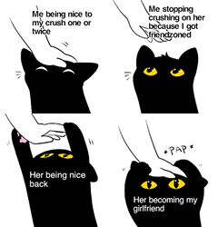 Cat Pap meme #4