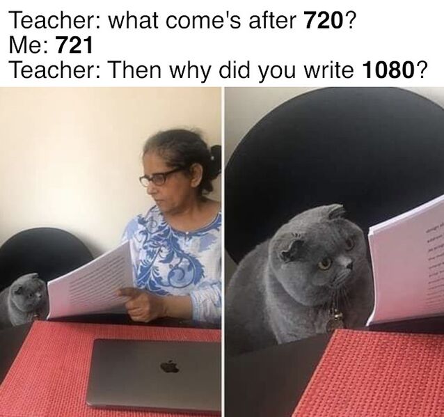 File:Woman Showing Papers to Grey Cat meme 1.jpg