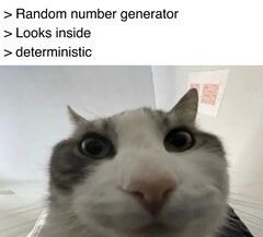 Cat Looks Inside meme #2