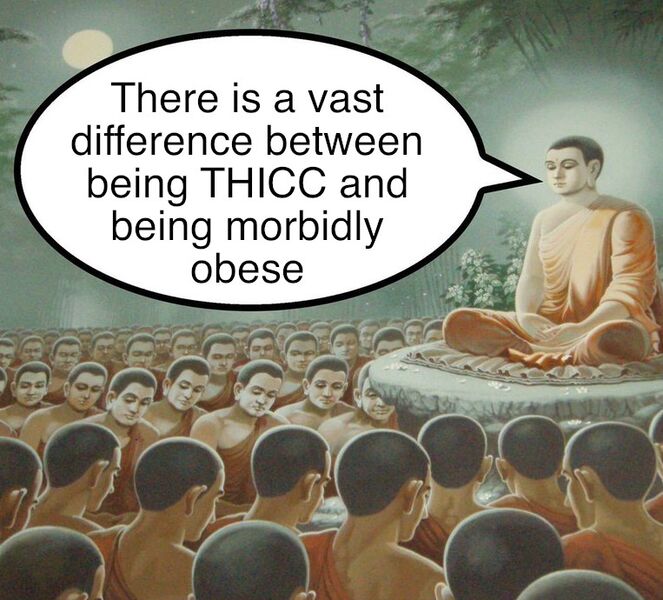 File:Buddha Enlightenment meme 2.jpg
