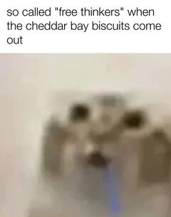 Drooling Cat meme #4