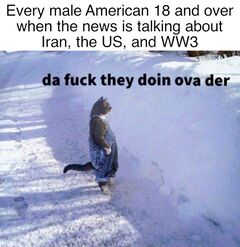 Cat Standing in the Snow meme #2
