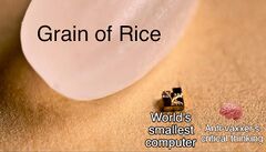 A Grain Of Rice meme #2